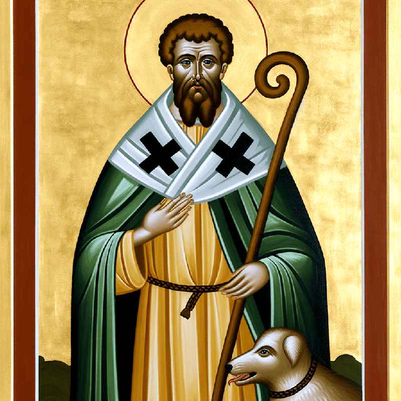 Rochus von Montpellier